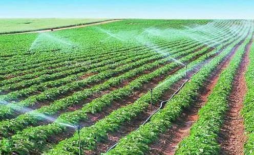 欧美制服骚逼农田高 效节水灌溉